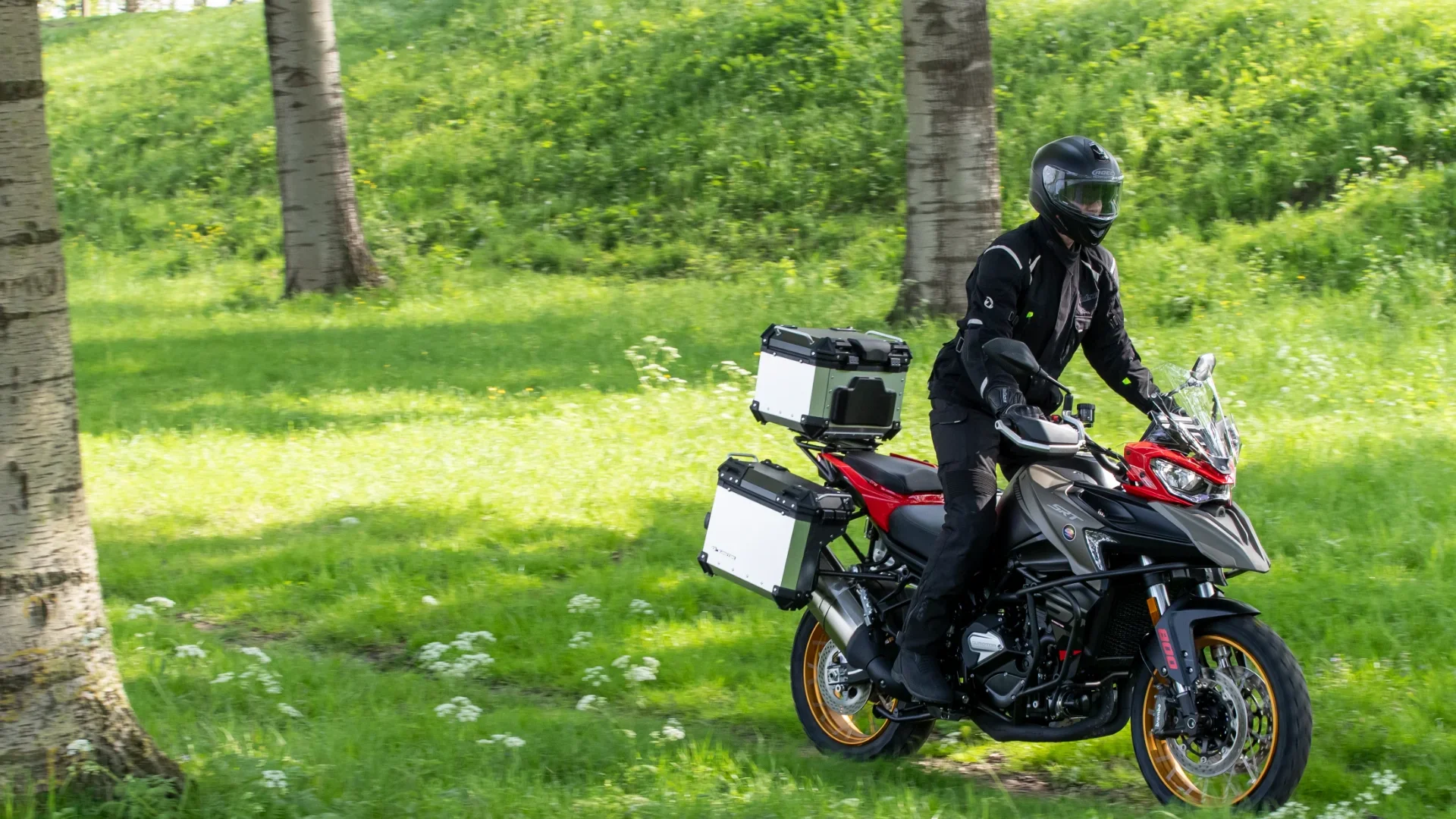 Qjmotor SRT 800 SX action
