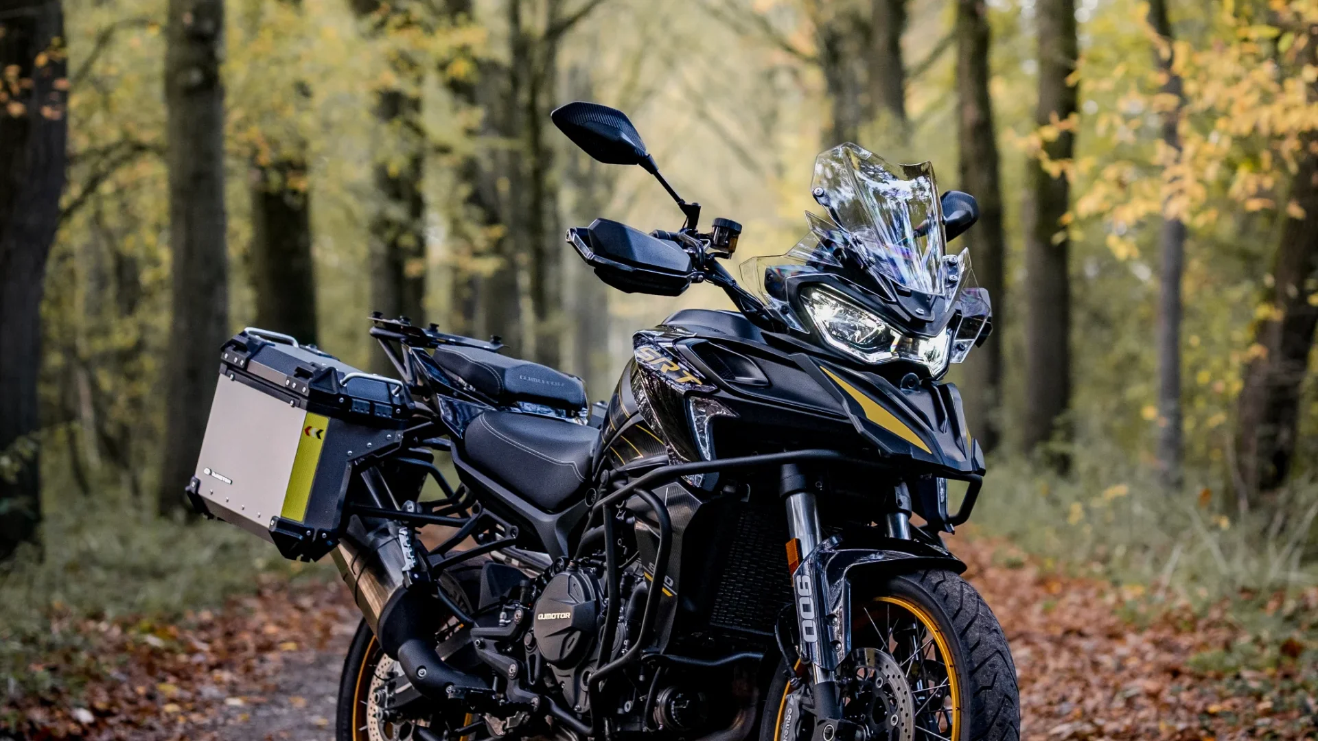 Qjmotor SRT 900 SX TOURING action