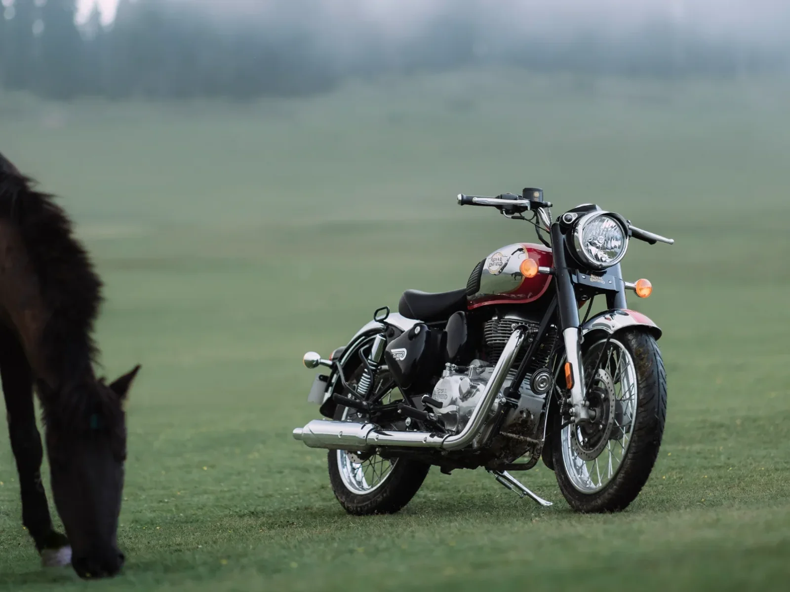 Royal-Enfield CLASSIC 350 foto 12