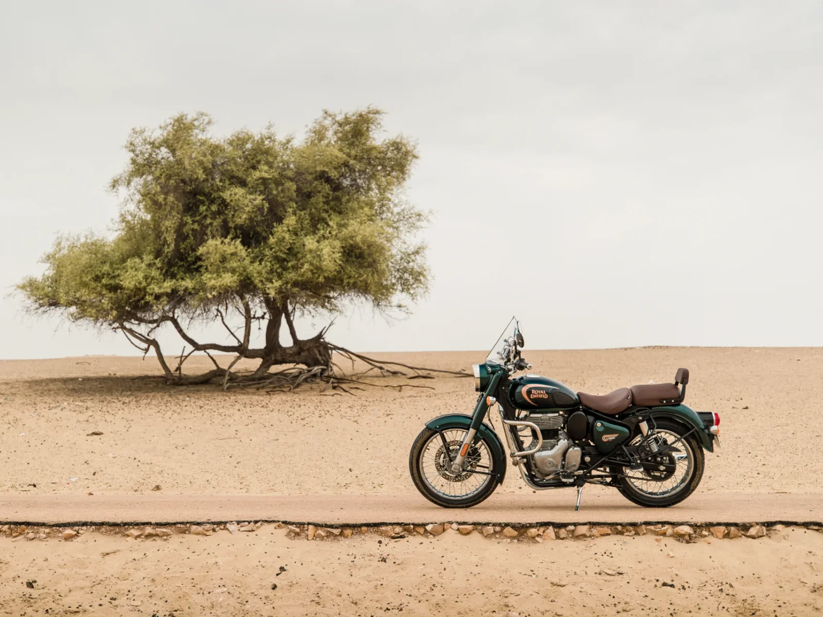 Royal-Enfield CLASSIC 350 foto 13
