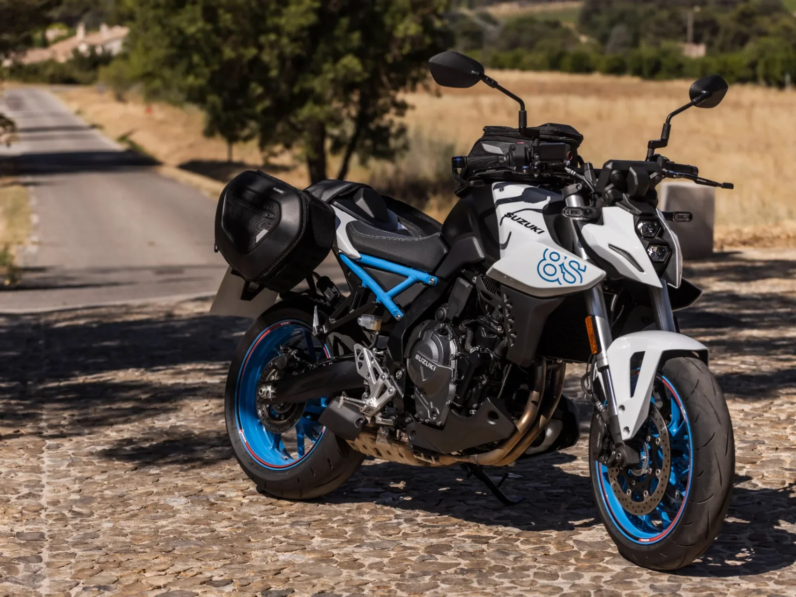 Suzuki GSX-8S foto 8