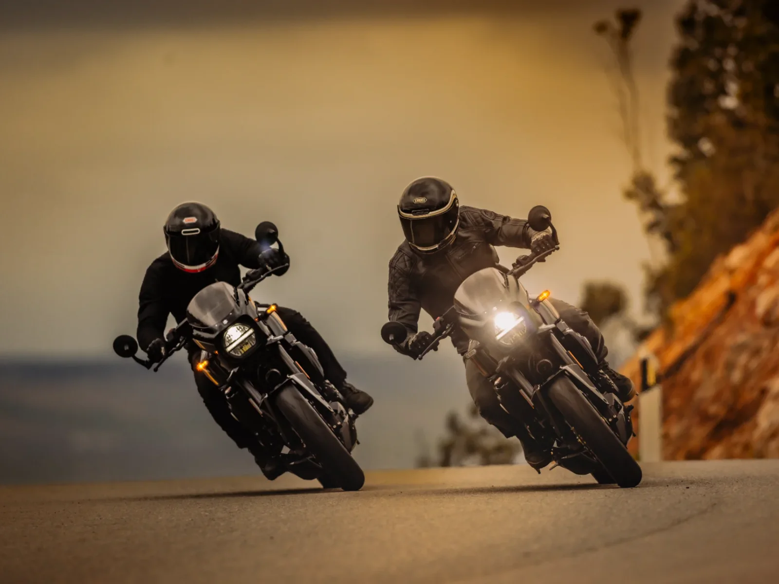 Suzuki GSX-8T foto 9