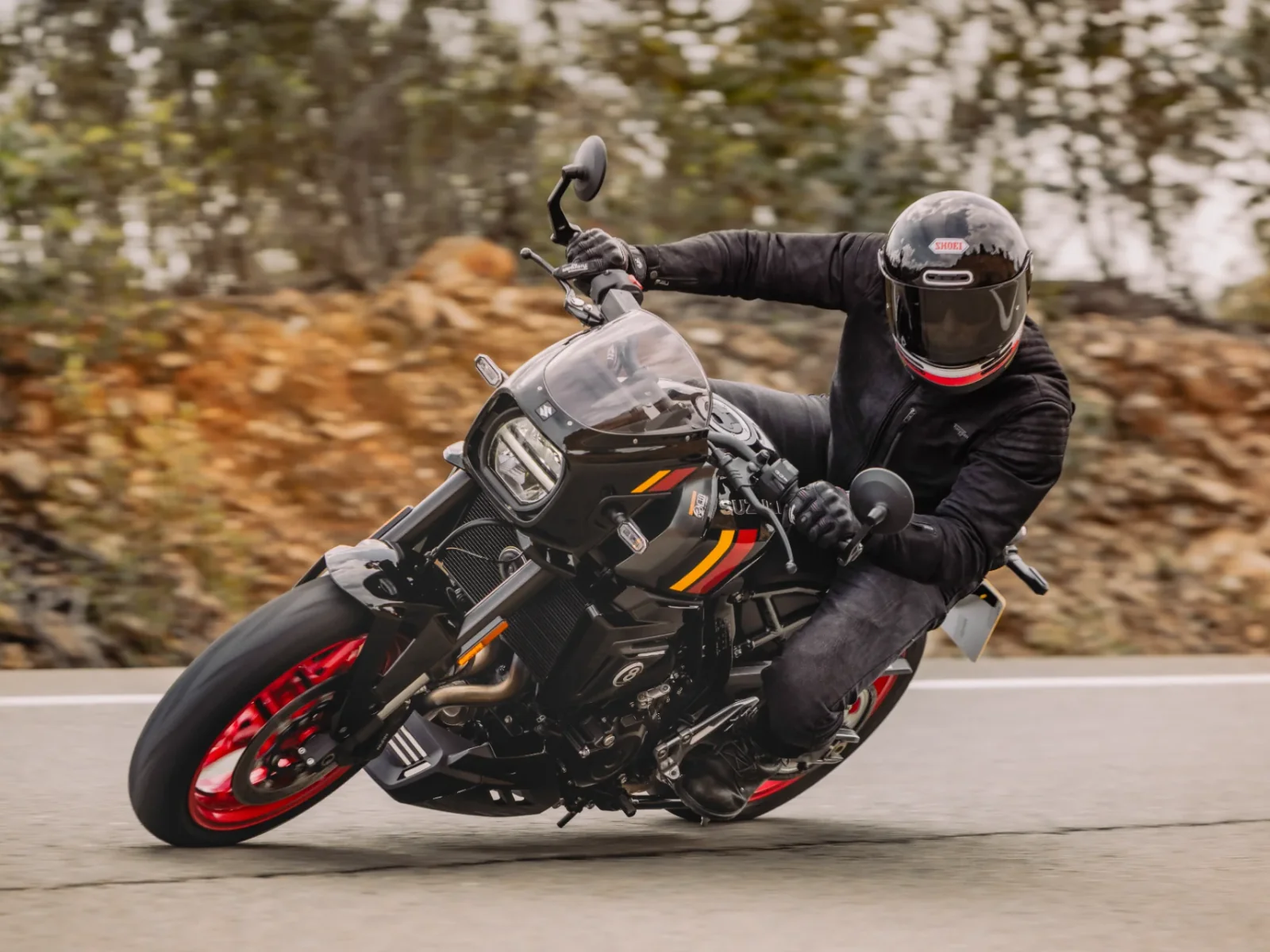 Suzuki GSX-8TT foto 5