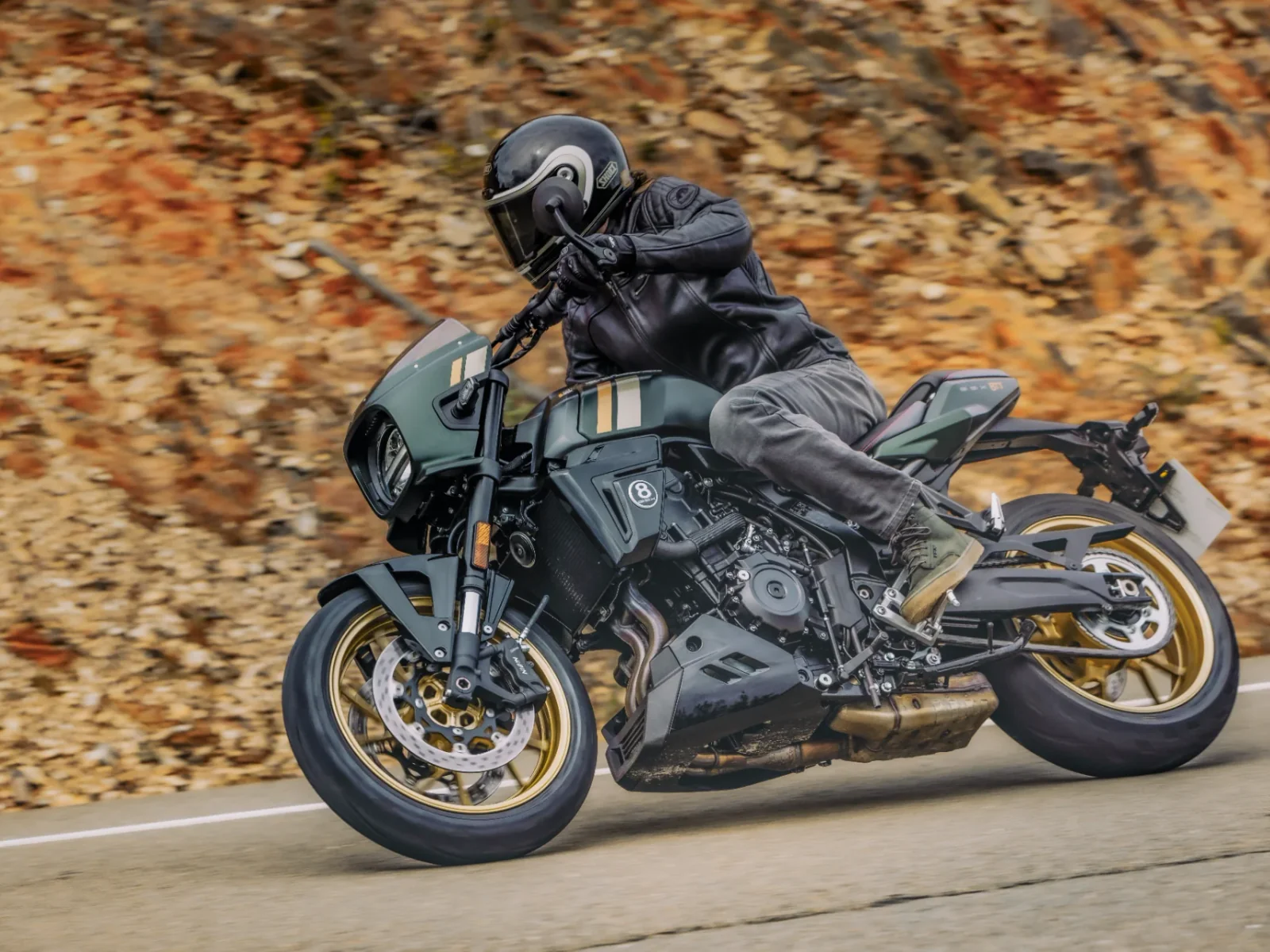 Suzuki GSX-8TT foto 6
