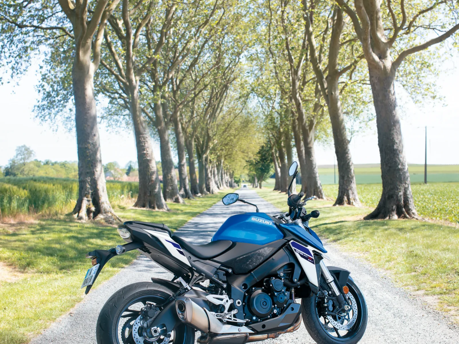 Suzuki GSX-S 950 ABS foto 3