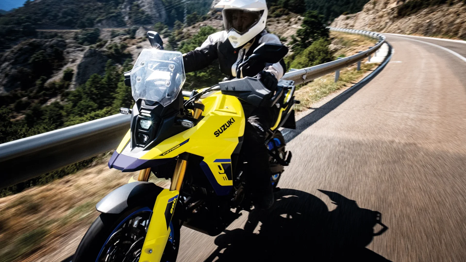 Suzuki V-STROM 800DE action